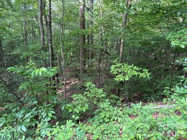 00 Cardinal Circle - Photo 4