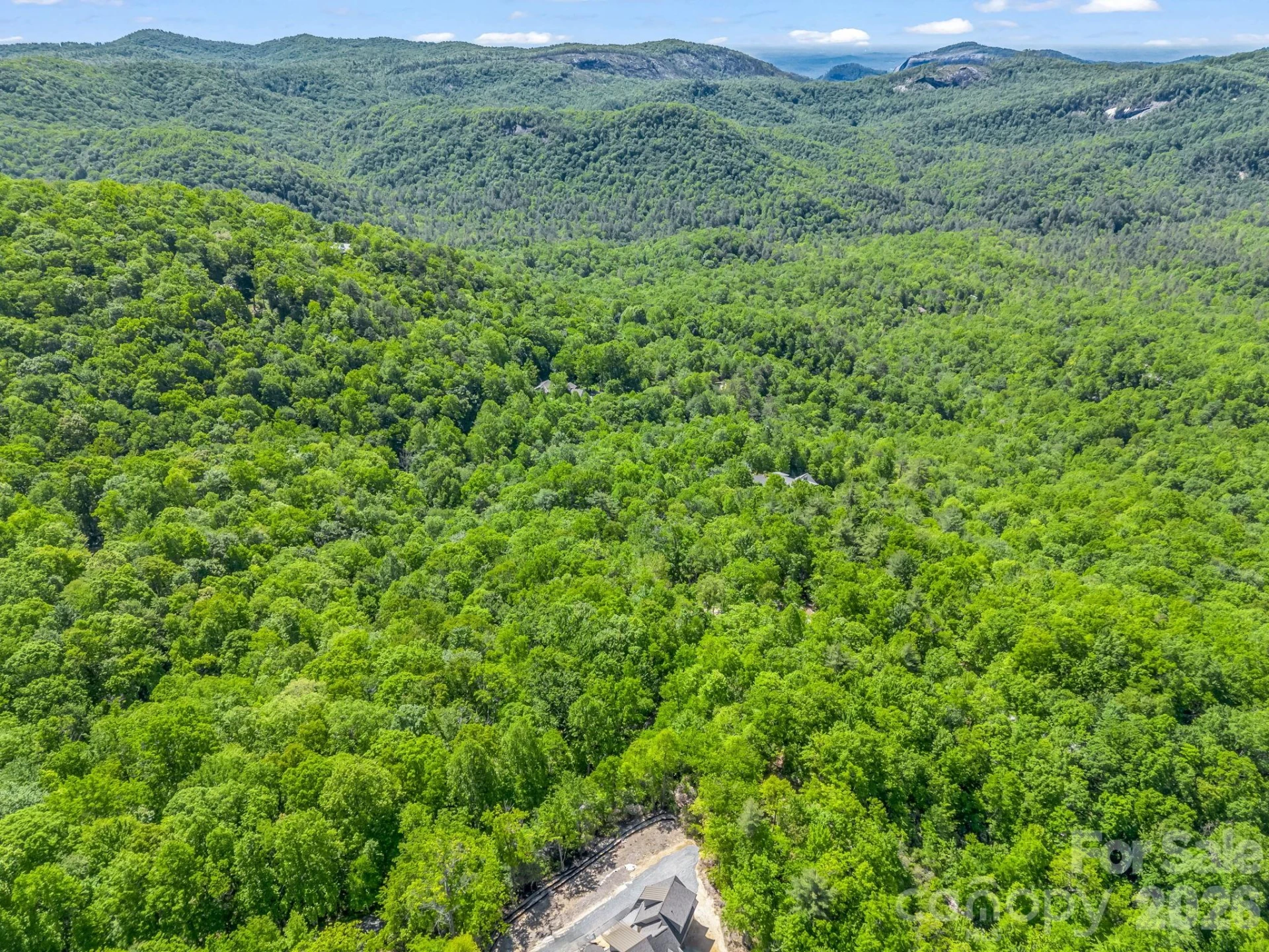 352 Big Hill Road - Photo 14