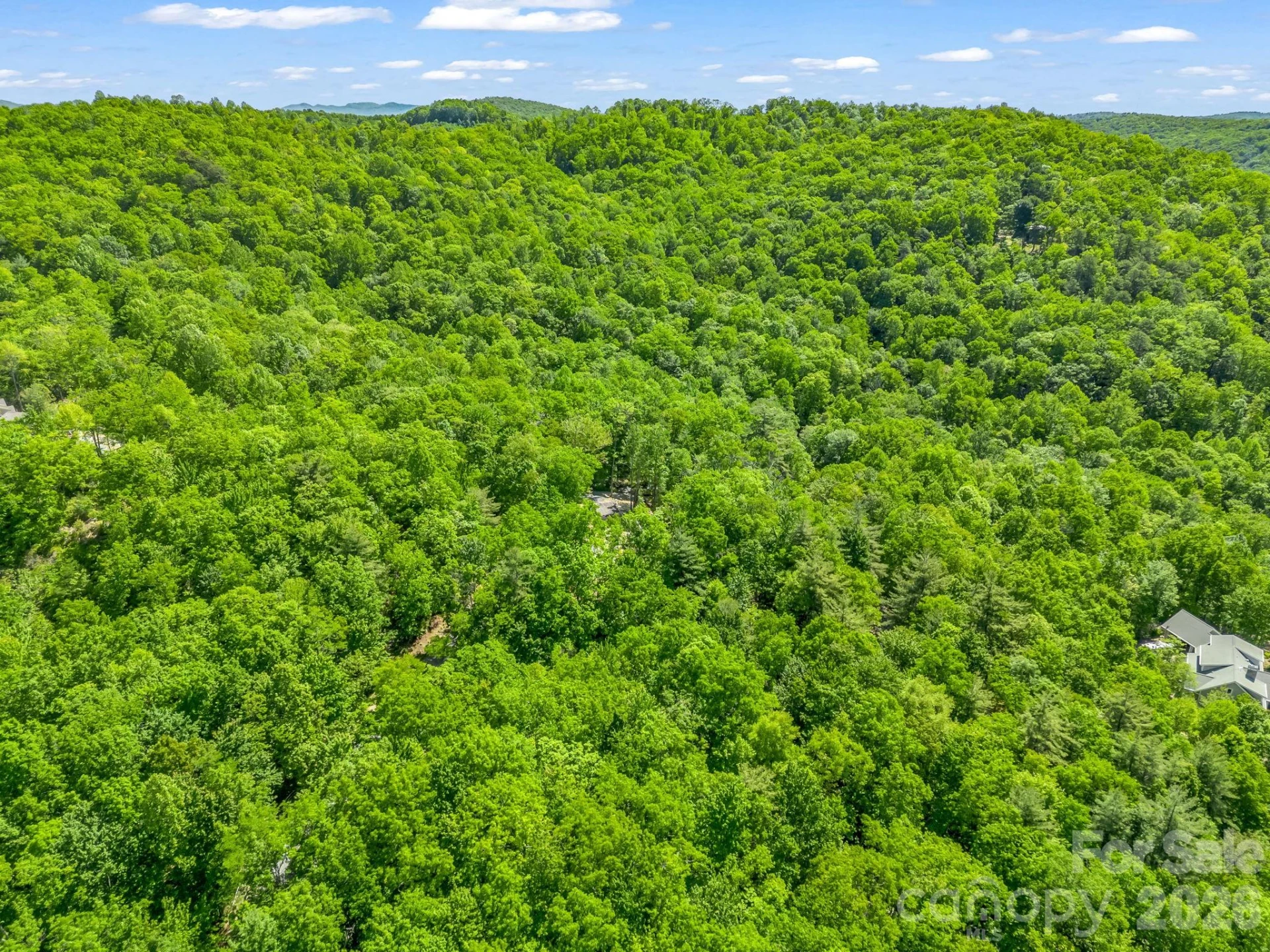 352 Big Hill Road - Photo 16