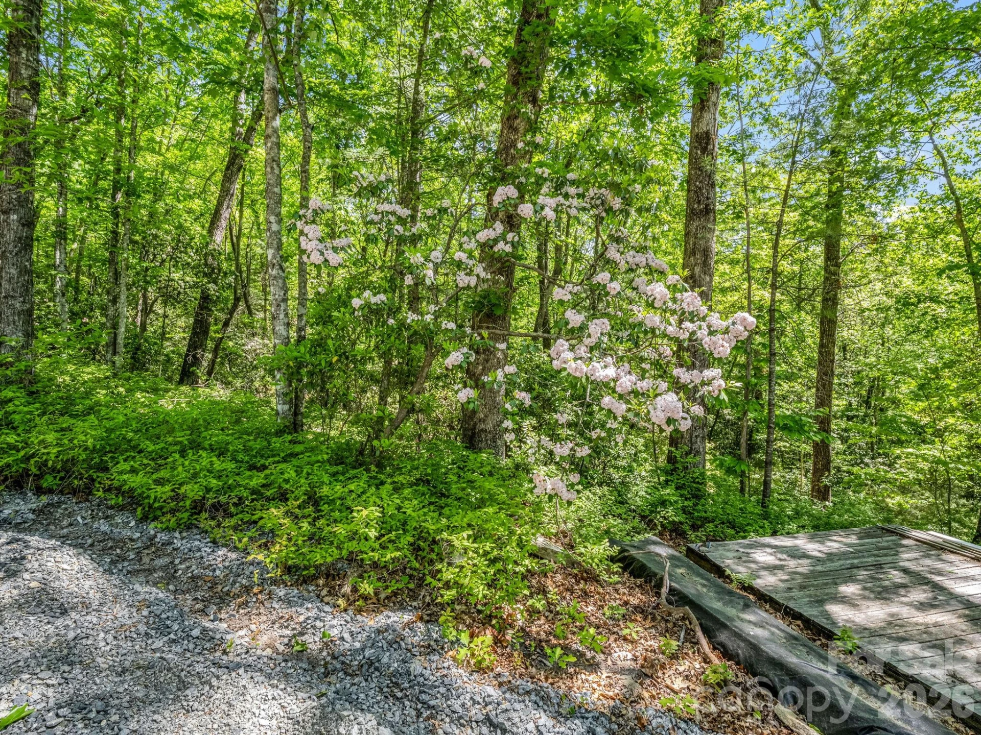 352 Big Hill Road - Photo 30
