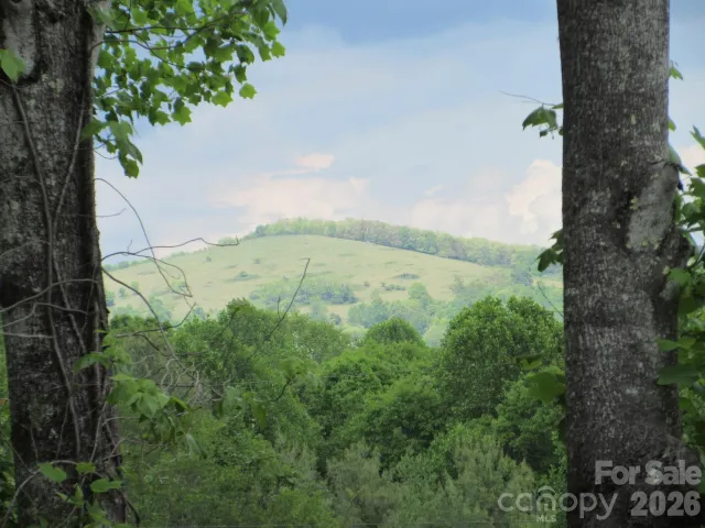 0 Rocky Top Trail, Hot Springs, NC, 28743