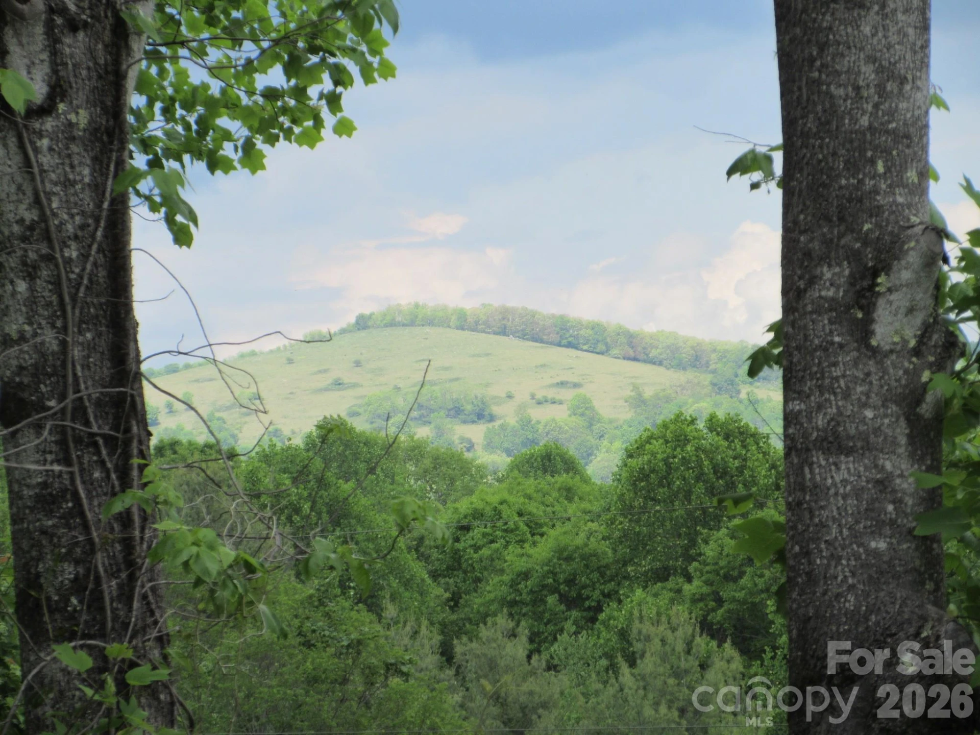 0 Rocky Top Trail #4