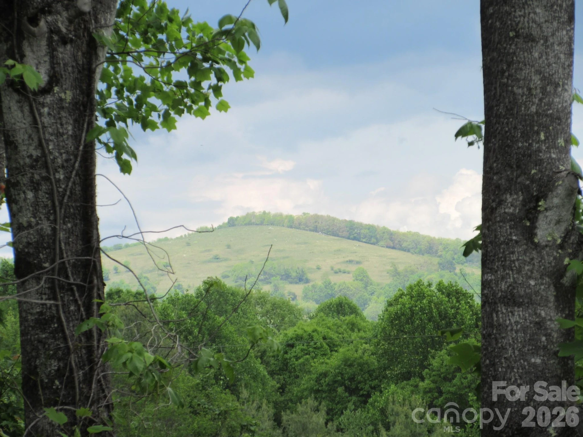 0 Rocky Top Trail #4 - Photo 3