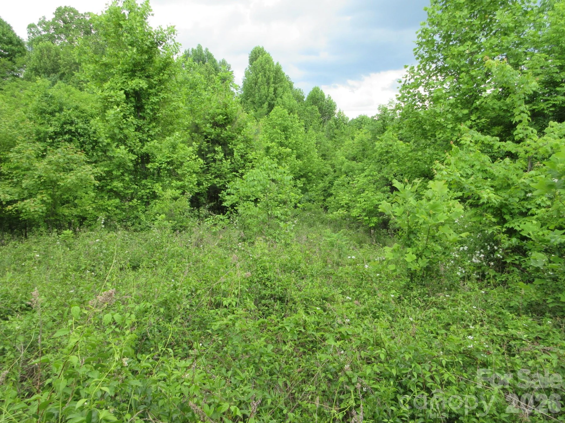 0 Rocky Top Trail #4 - Photo 12
