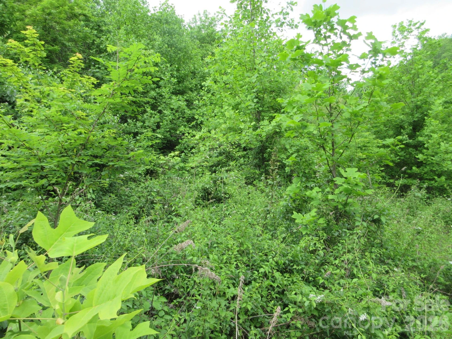 0 Rocky Top Trail #4 - Photo 13