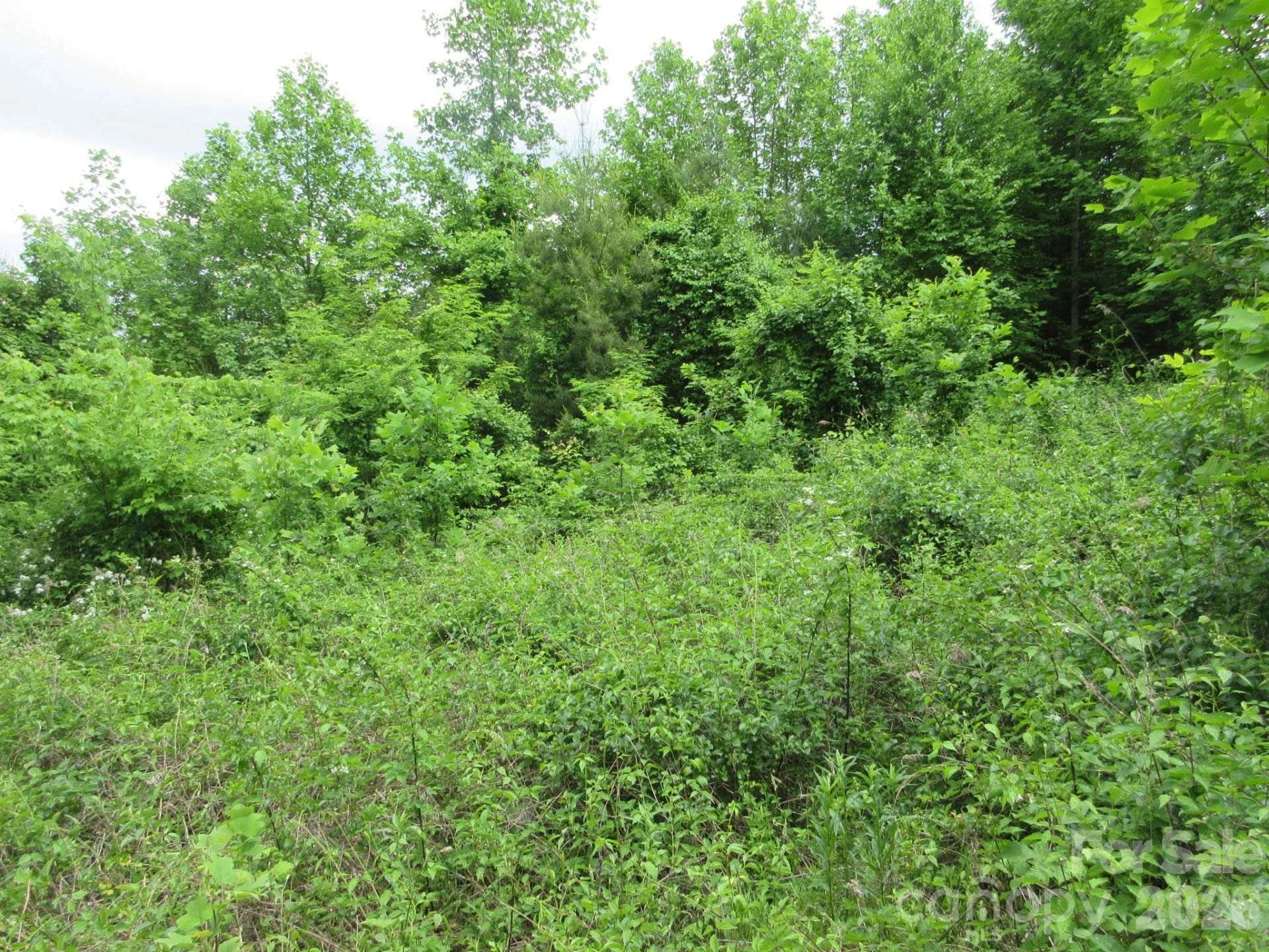 0 Rocky Top Trail #4 - Photo 14