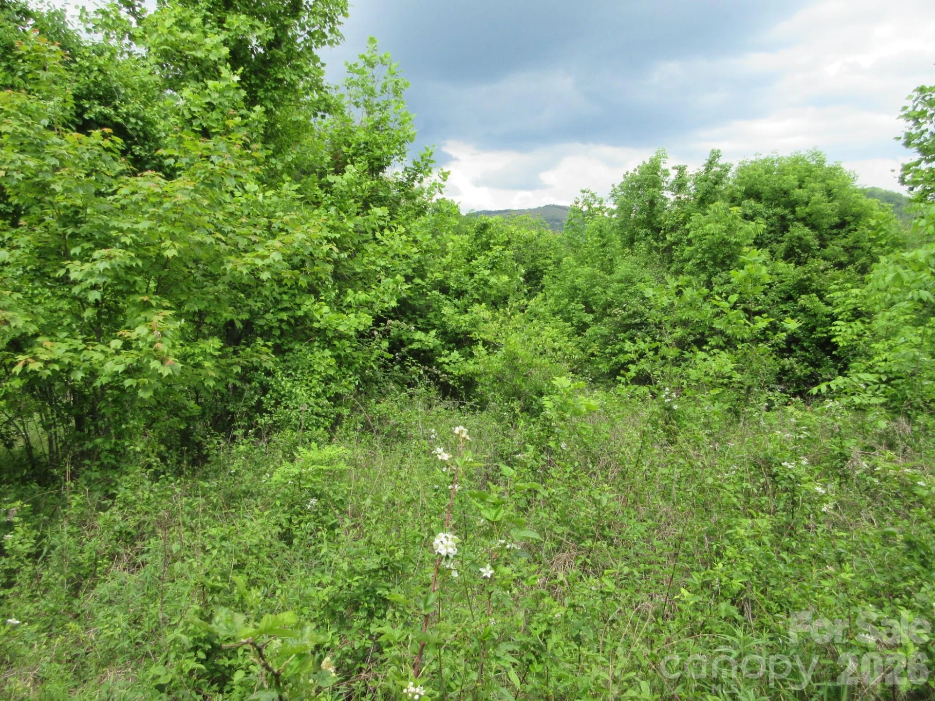 0 Rocky Top Trail #4 - Photo 16