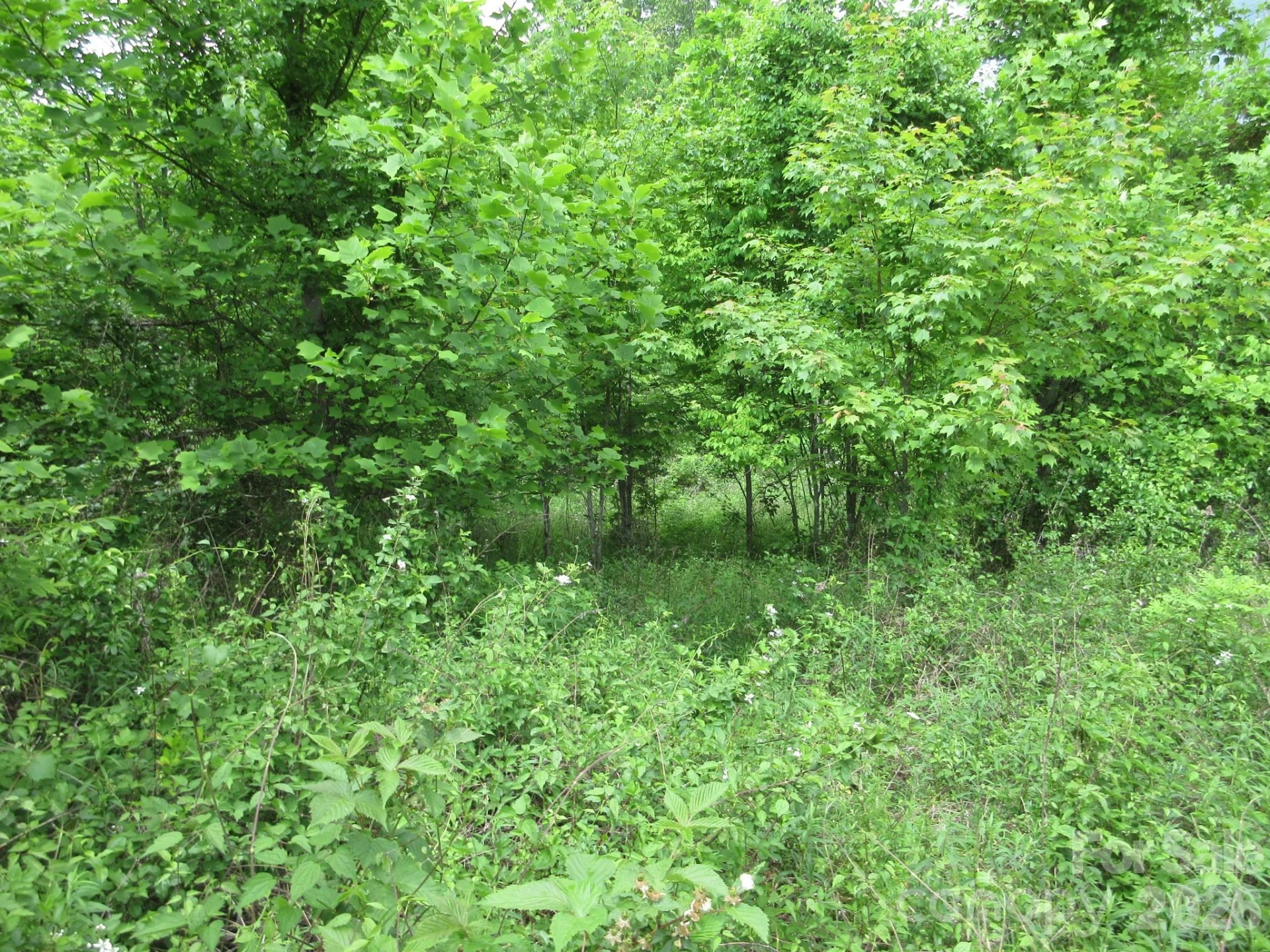0 Rocky Top Trail #4 - Photo 17