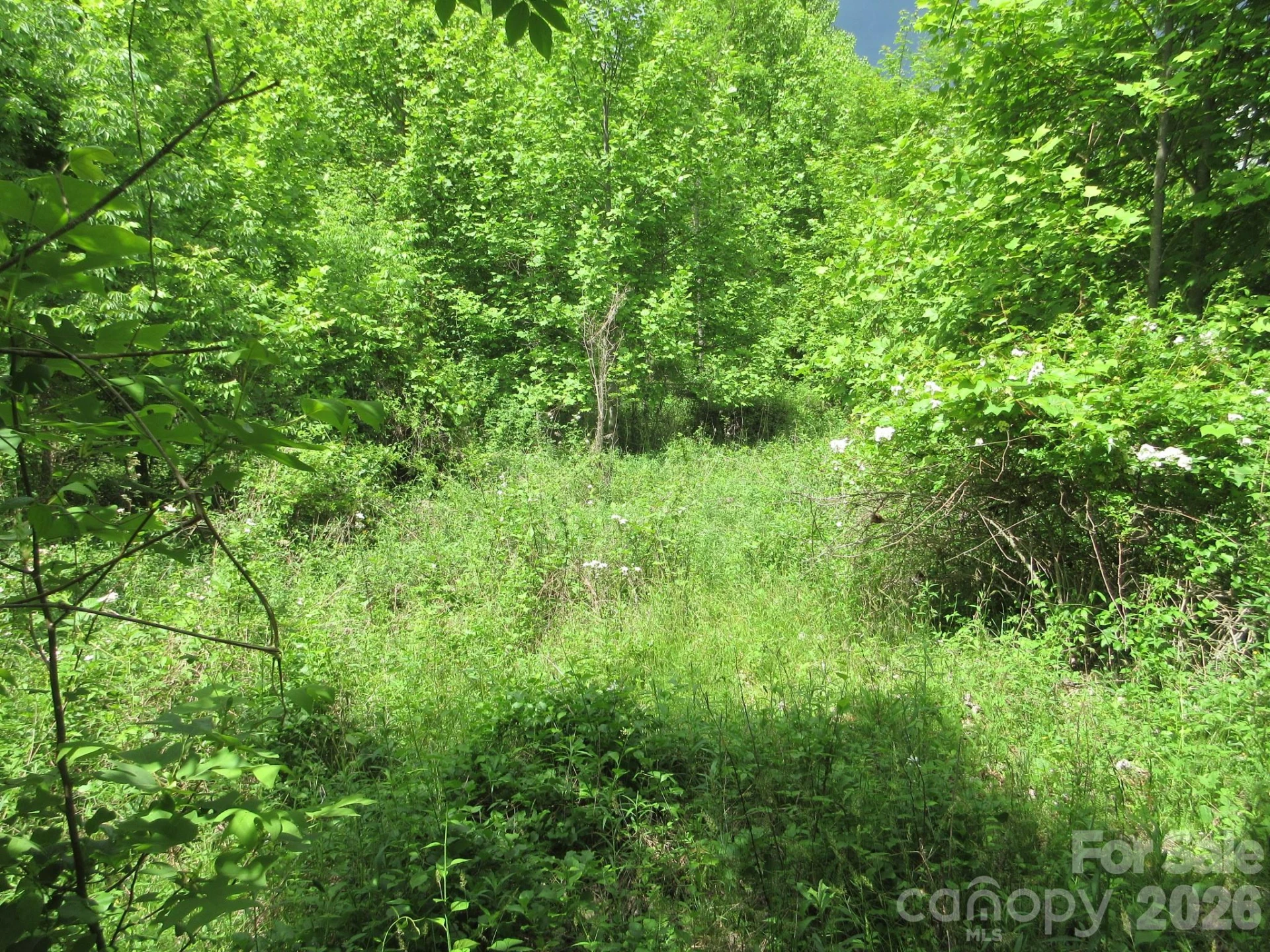 0 Rocky Top Trail #4 - Photo 18