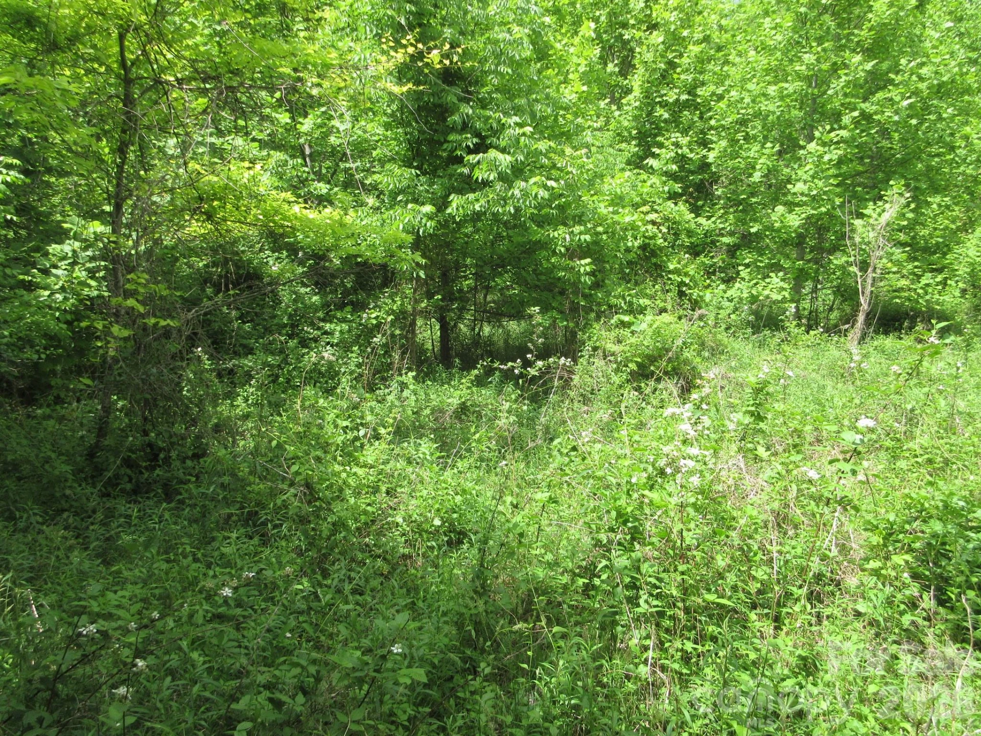 0 Rocky Top Trail #4 - Photo 19
