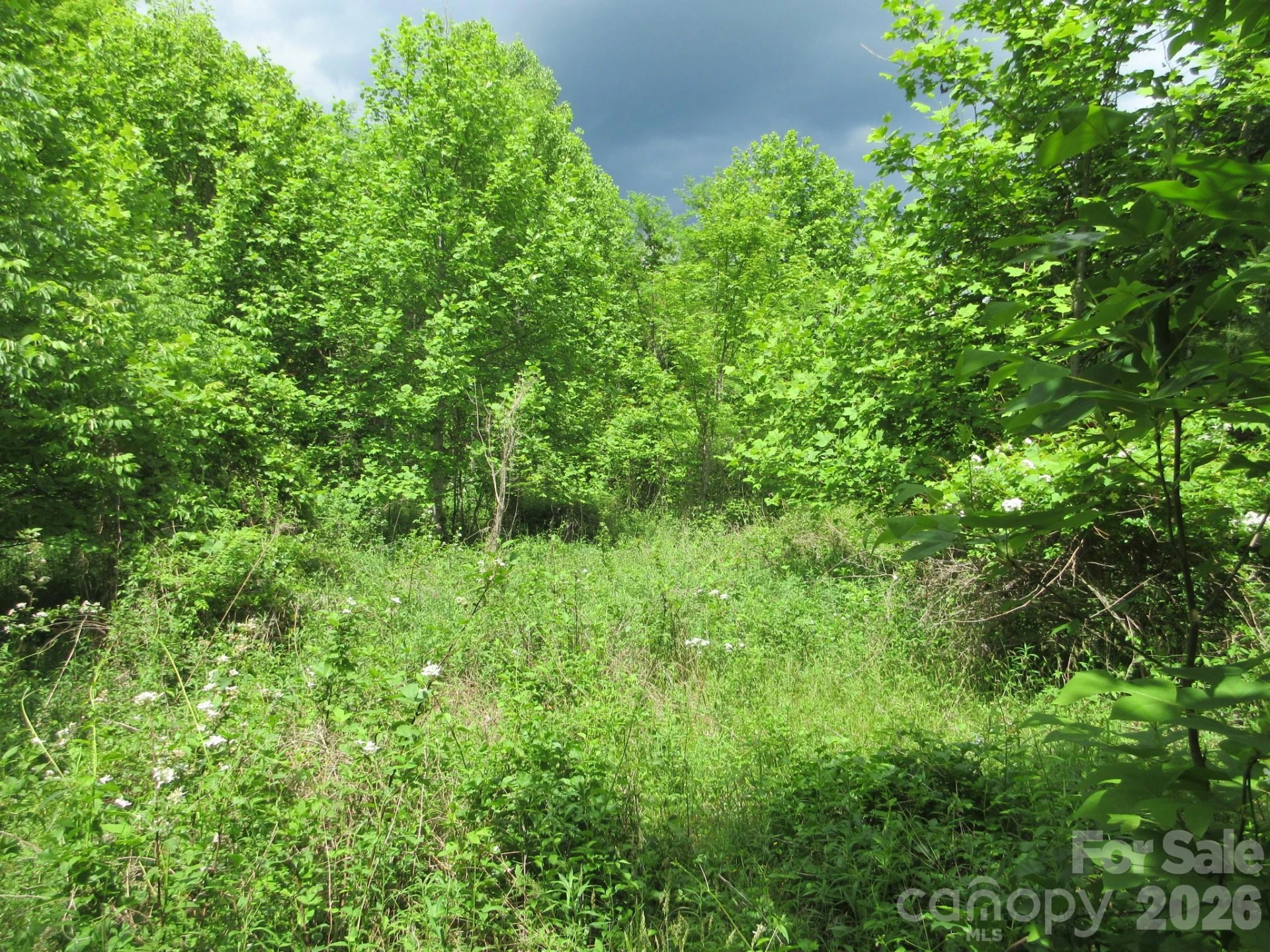 0 Rocky Top Trail #4 - Photo 20