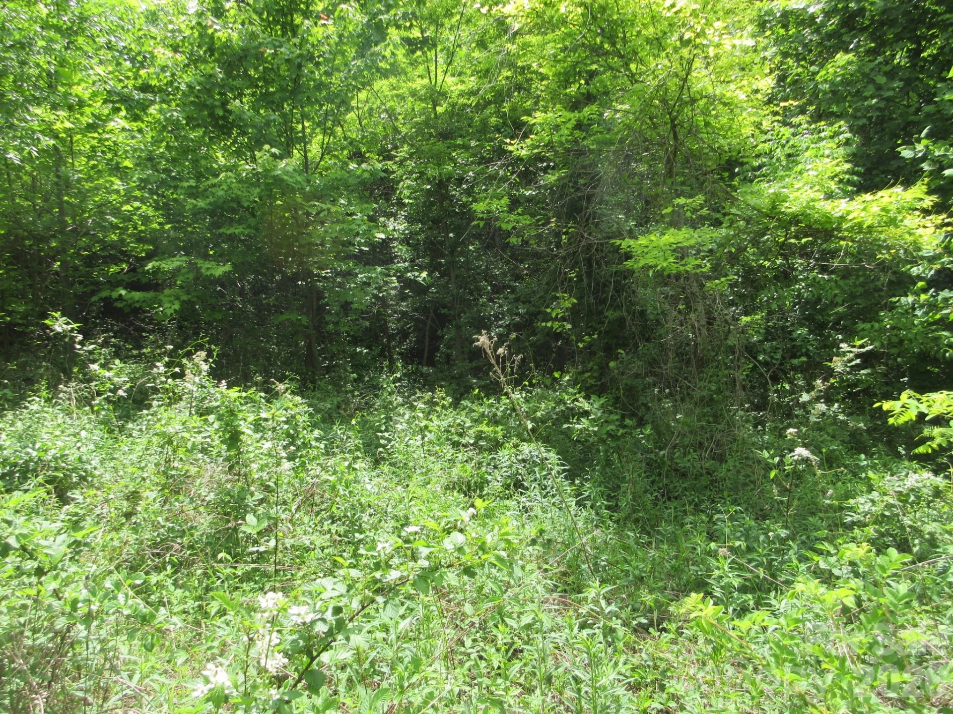 0 Rocky Top Trail #4 - Photo 21