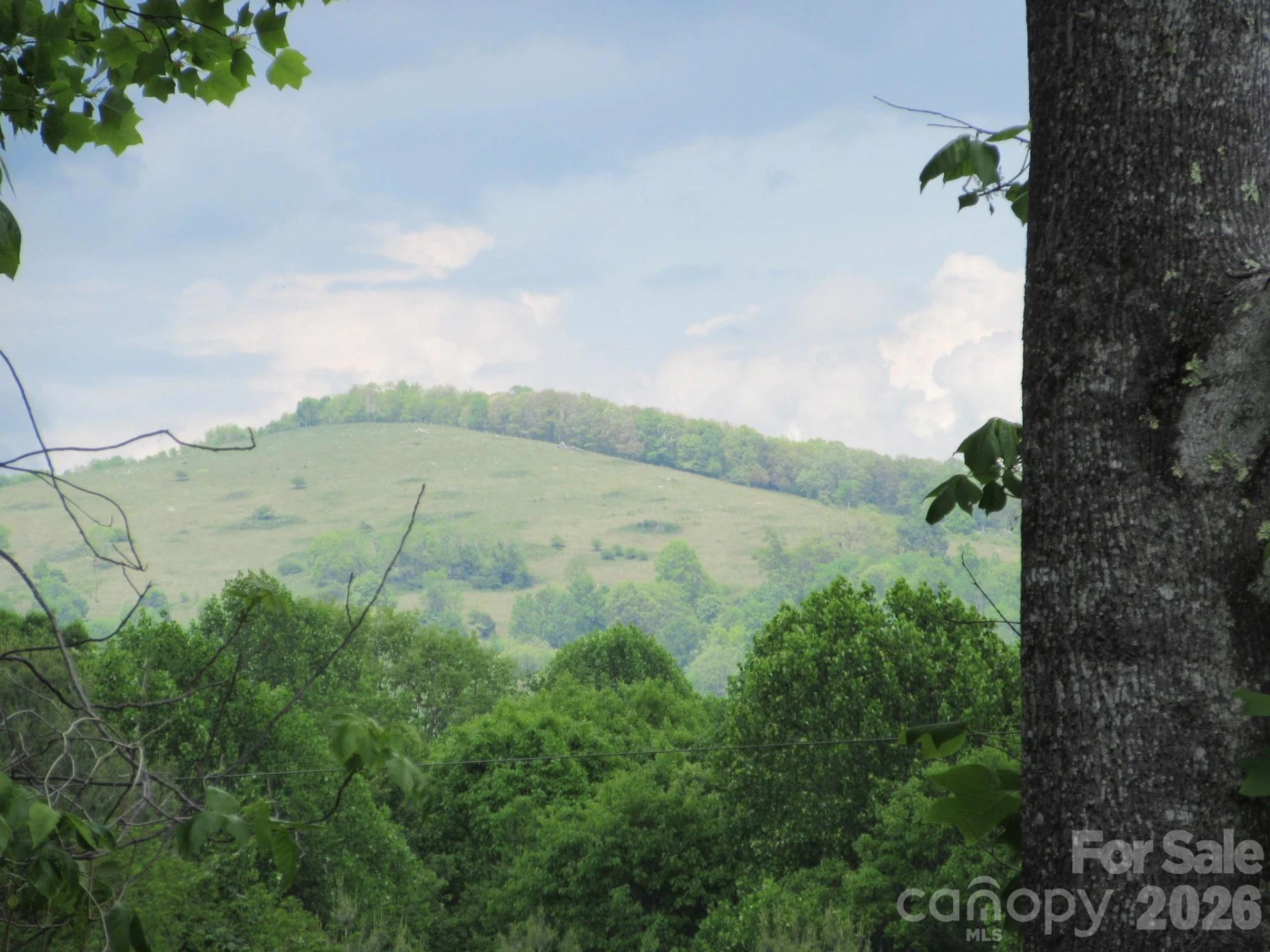 0 Rocky Top Trail #4 - Photo 4