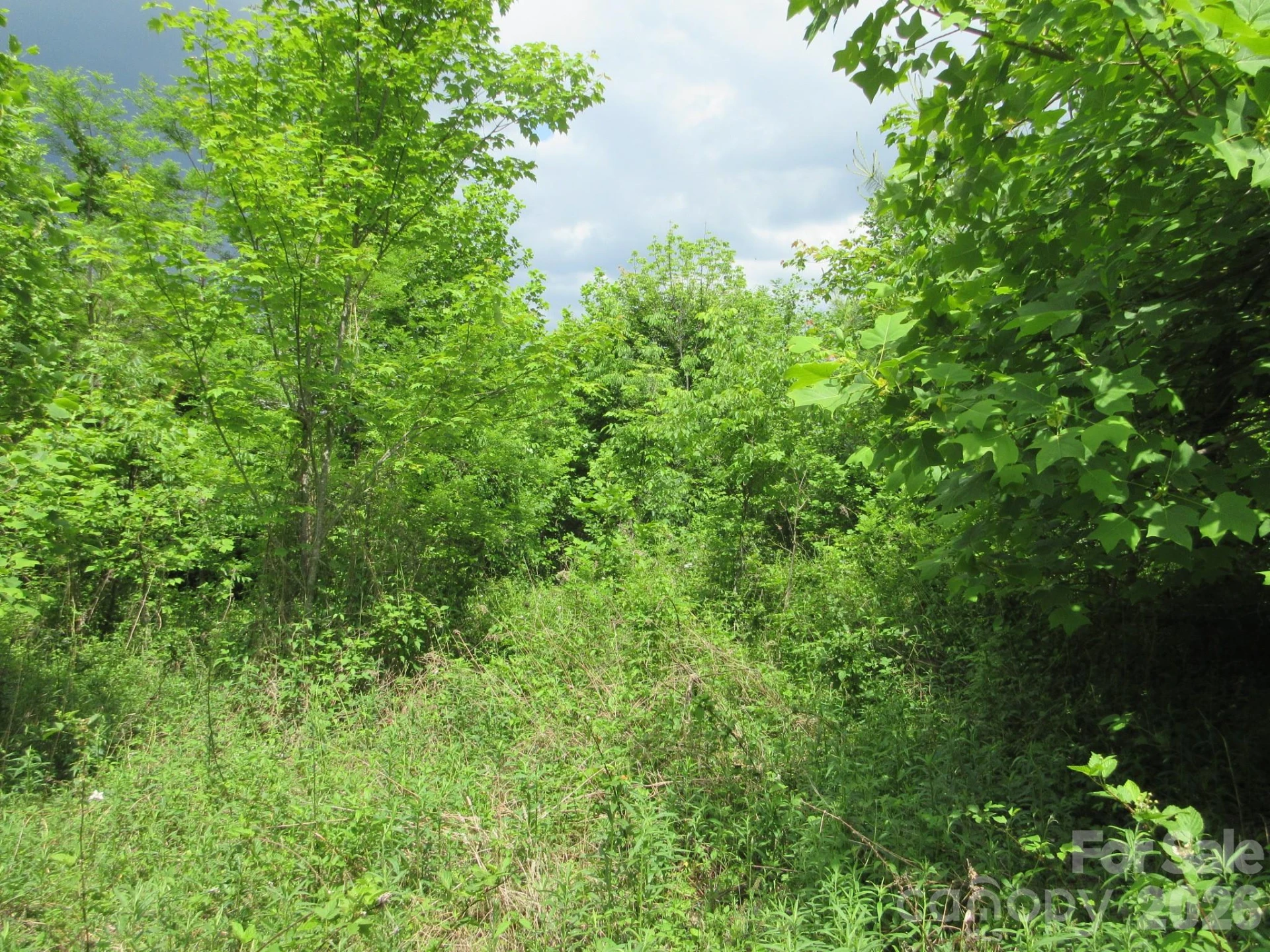 0 Rocky Top Trail #4 - Photo 22