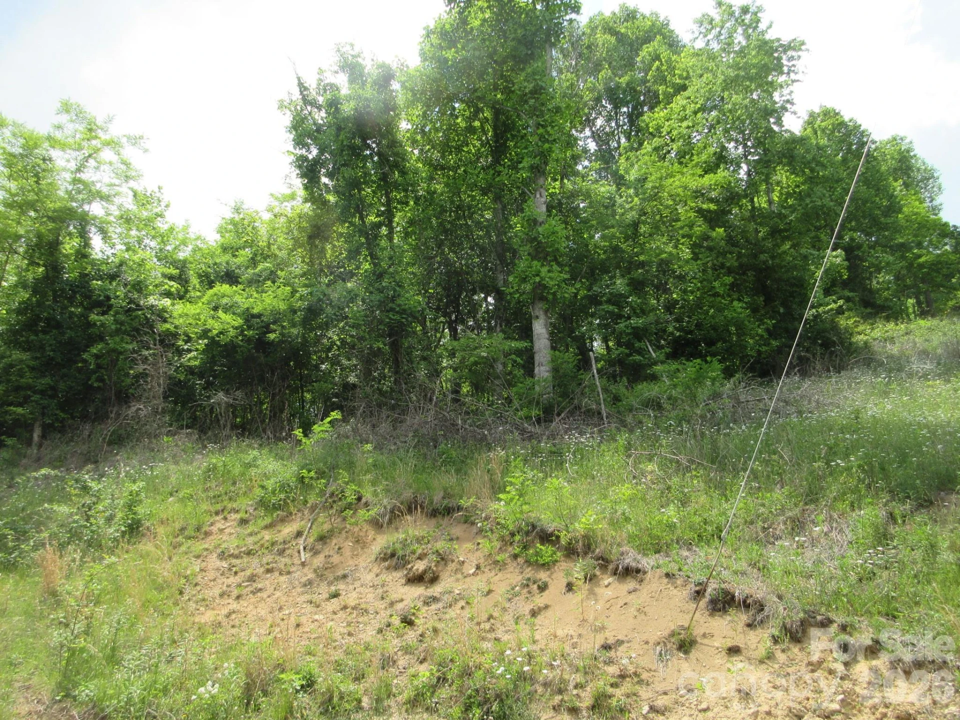 0 Rocky Top Trail #4 - Photo 25