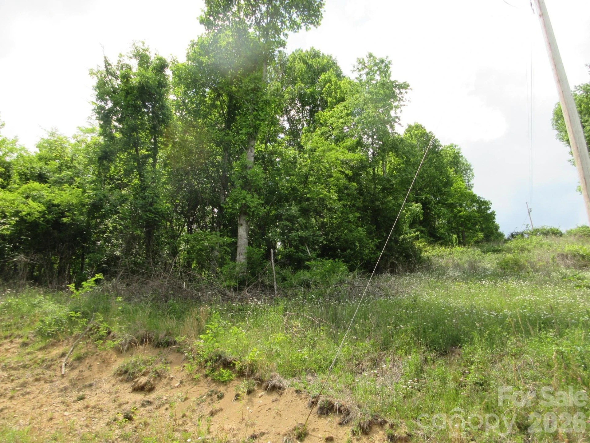 0 Rocky Top Trail #4 - Photo 26