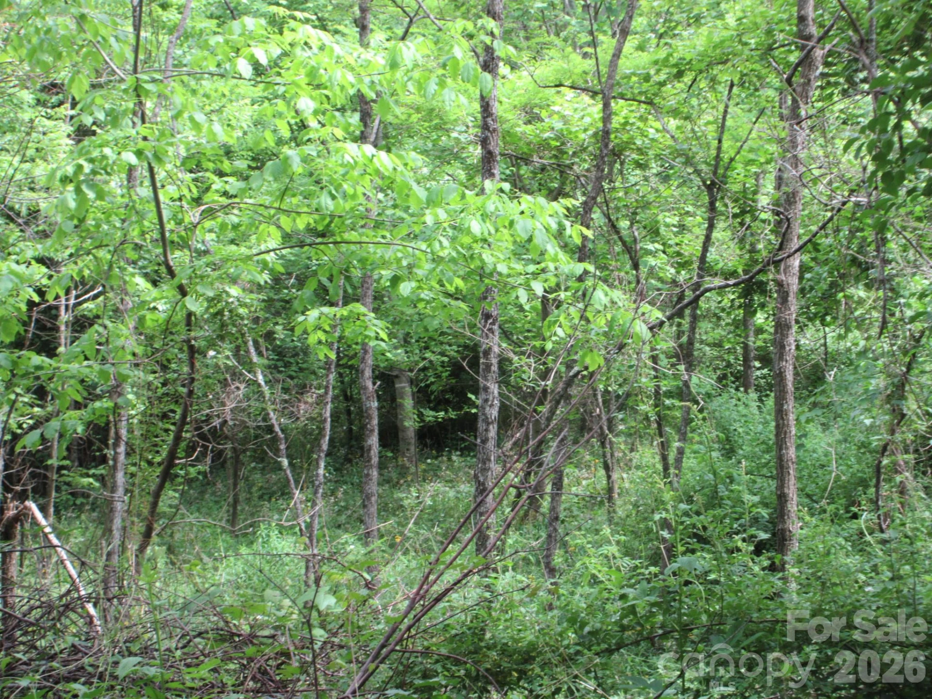 0 Rocky Top Trail #4 - Photo 31