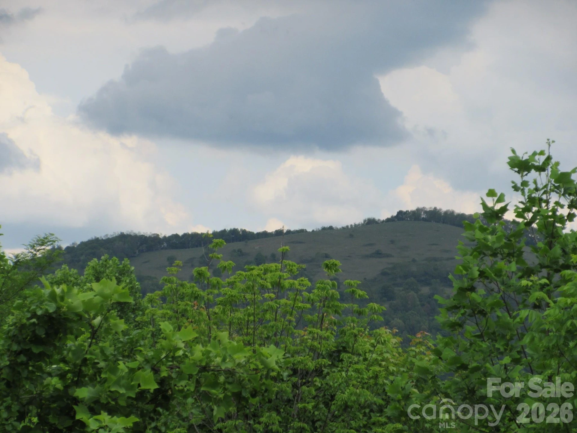 0 Rocky Top Trail #4 - Photo 5