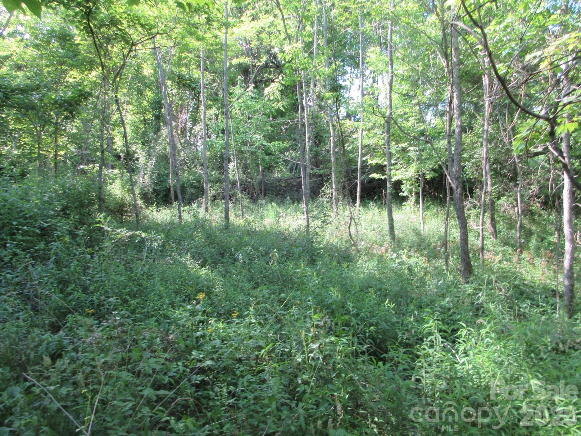 0 Rocky Top Trail #4 - Photo 33