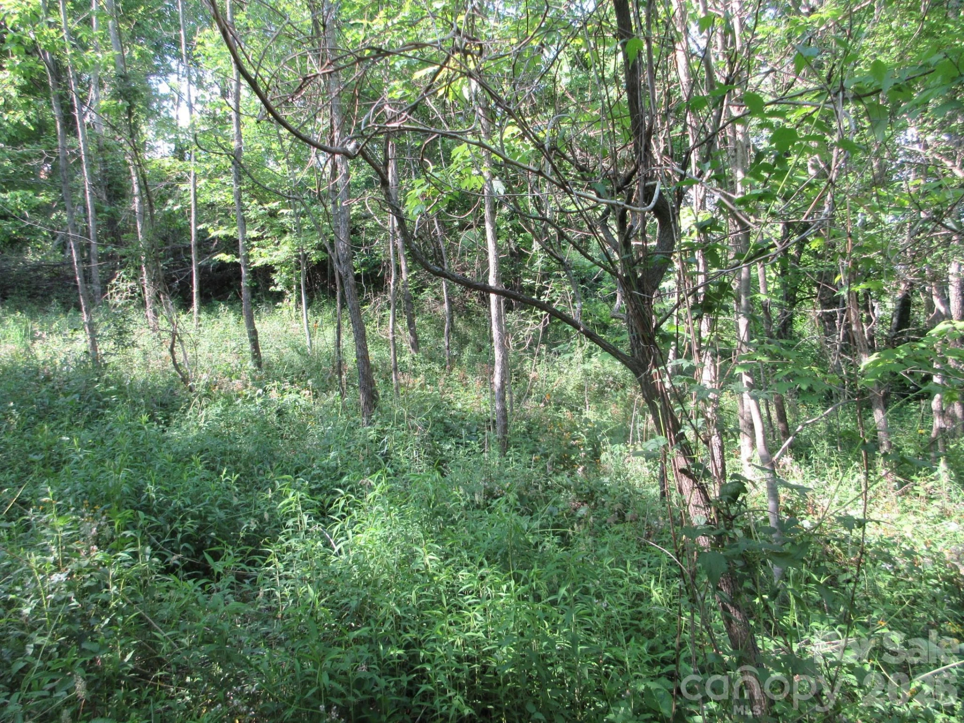 0 Rocky Top Trail #4 - Photo 34
