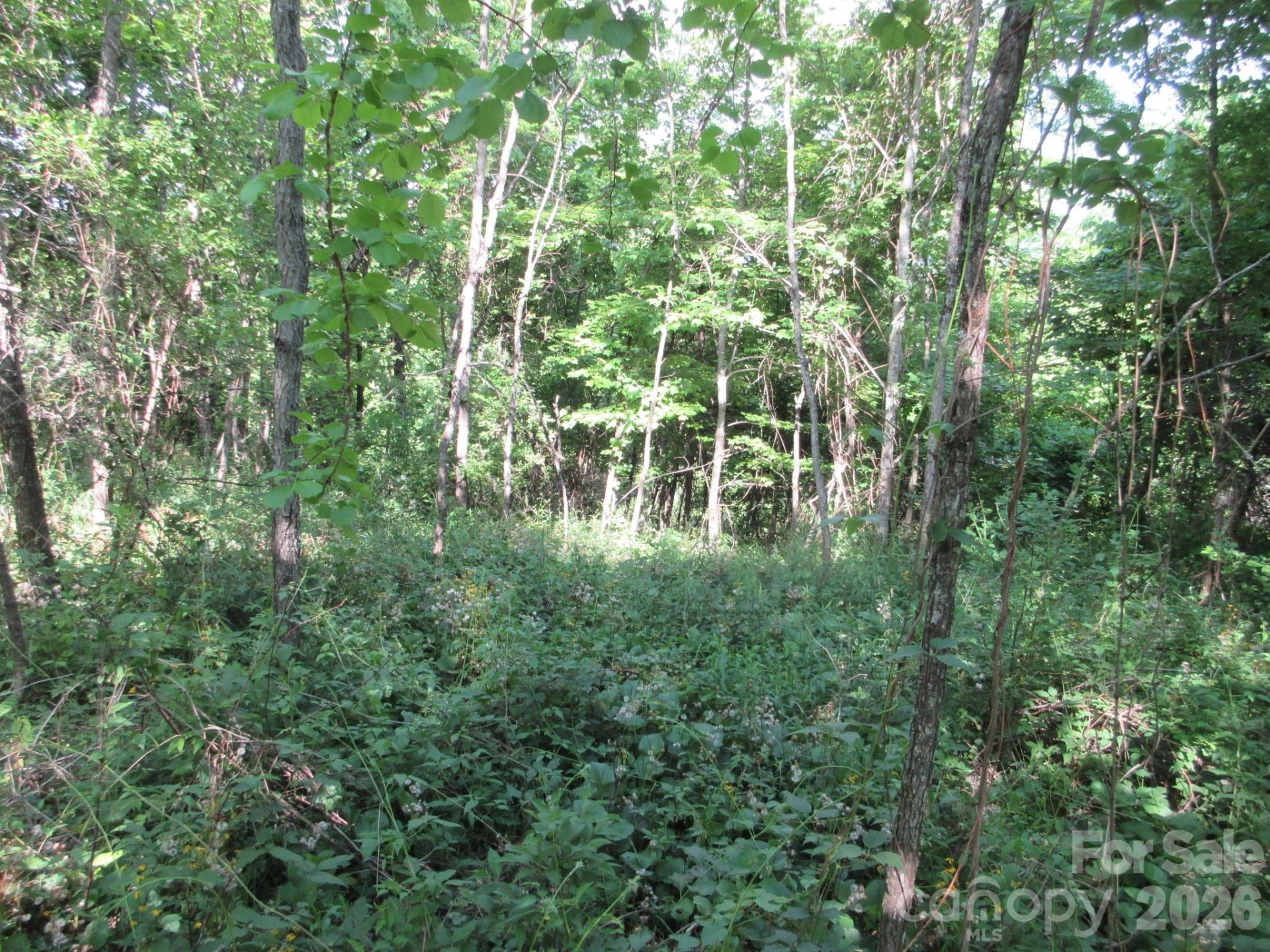 0 Rocky Top Trail #4 - Photo 35
