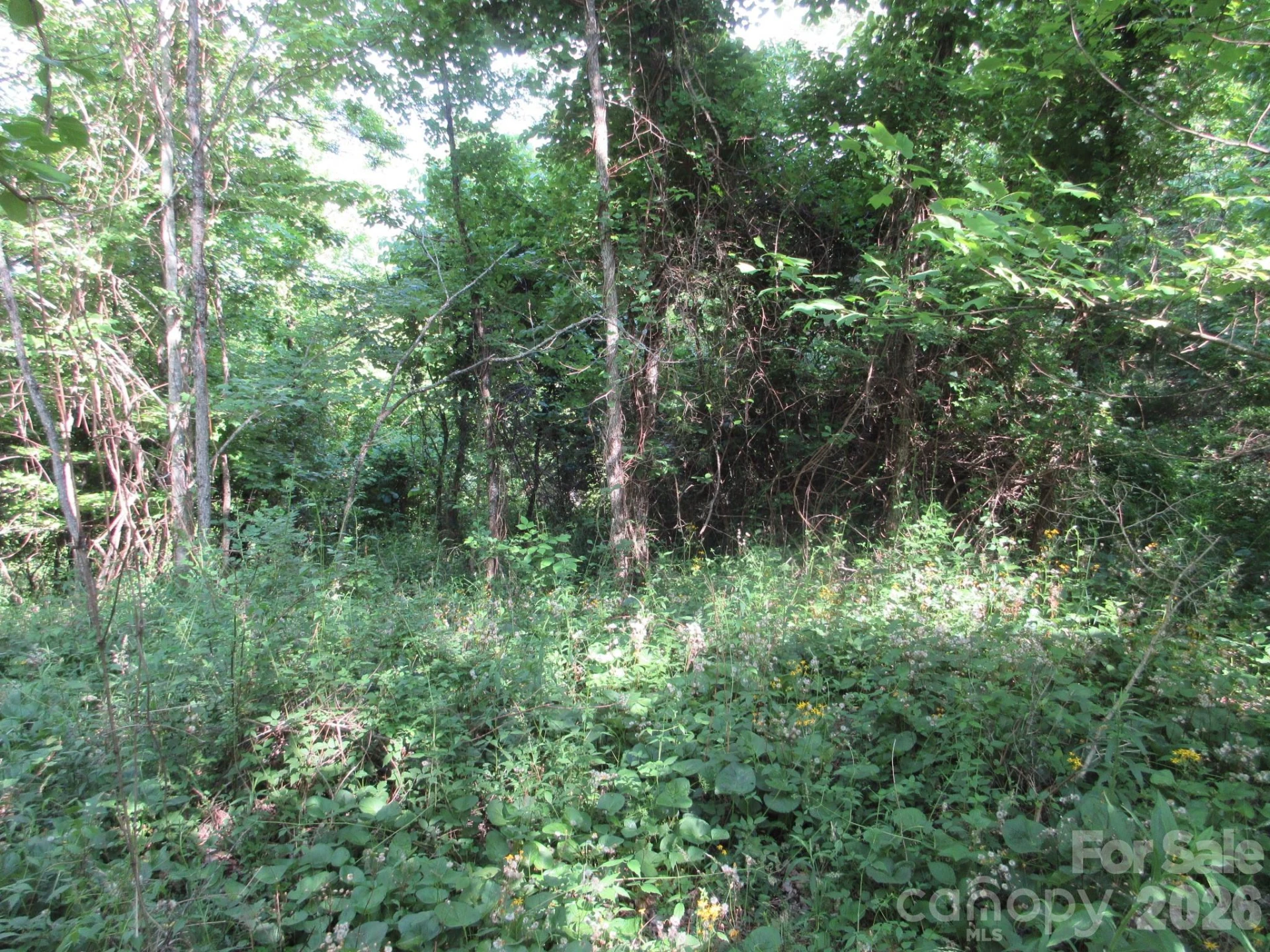 0 Rocky Top Trail #4 - Photo 36