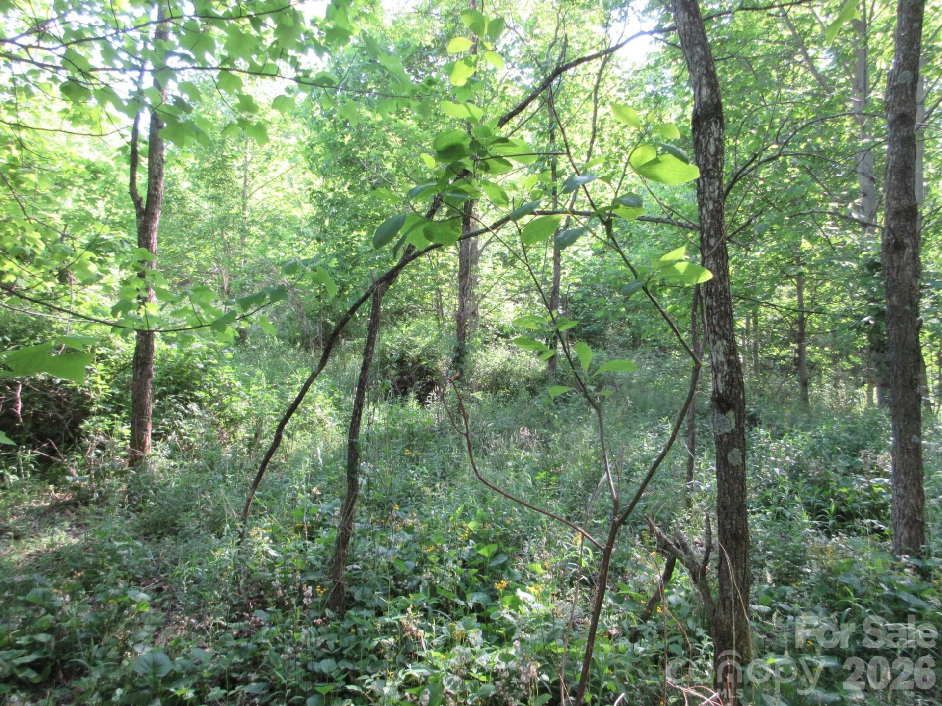 0 Rocky Top Trail #4 - Photo 37