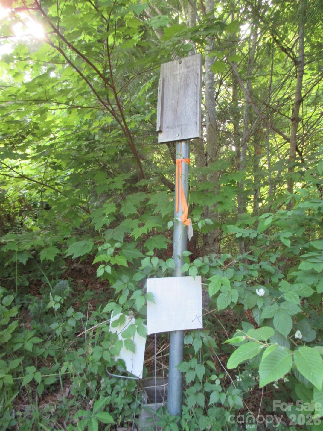 0 Rocky Top Trail #4 - Photo 38