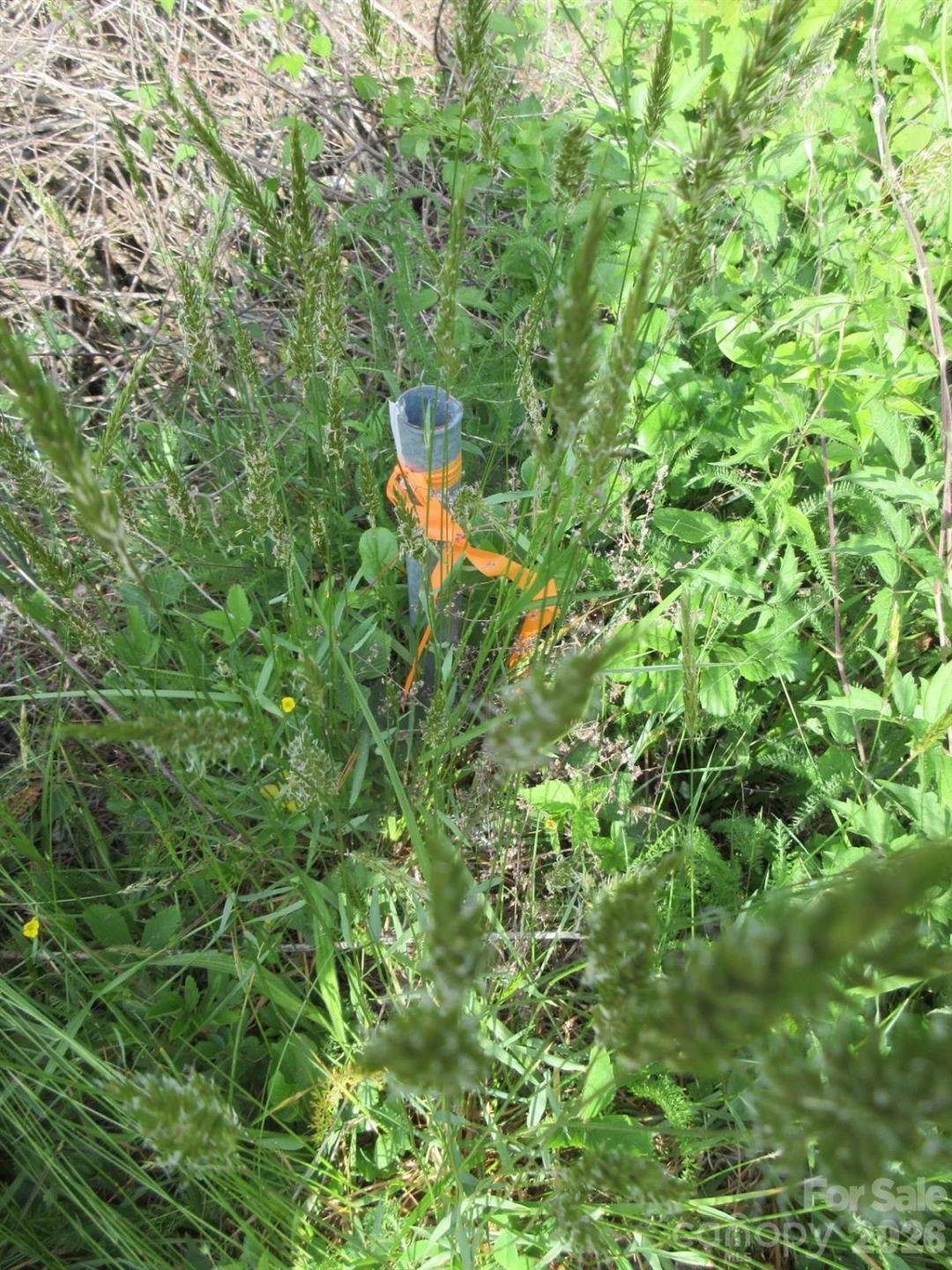 0 Rocky Top Trail #4 - Photo 39