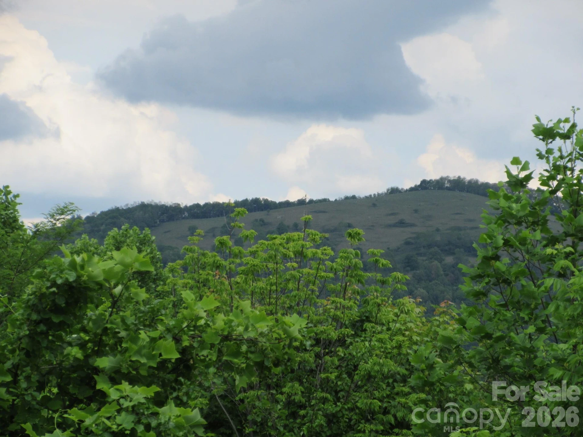 0 Rocky Top Trail #4 - Photo 6