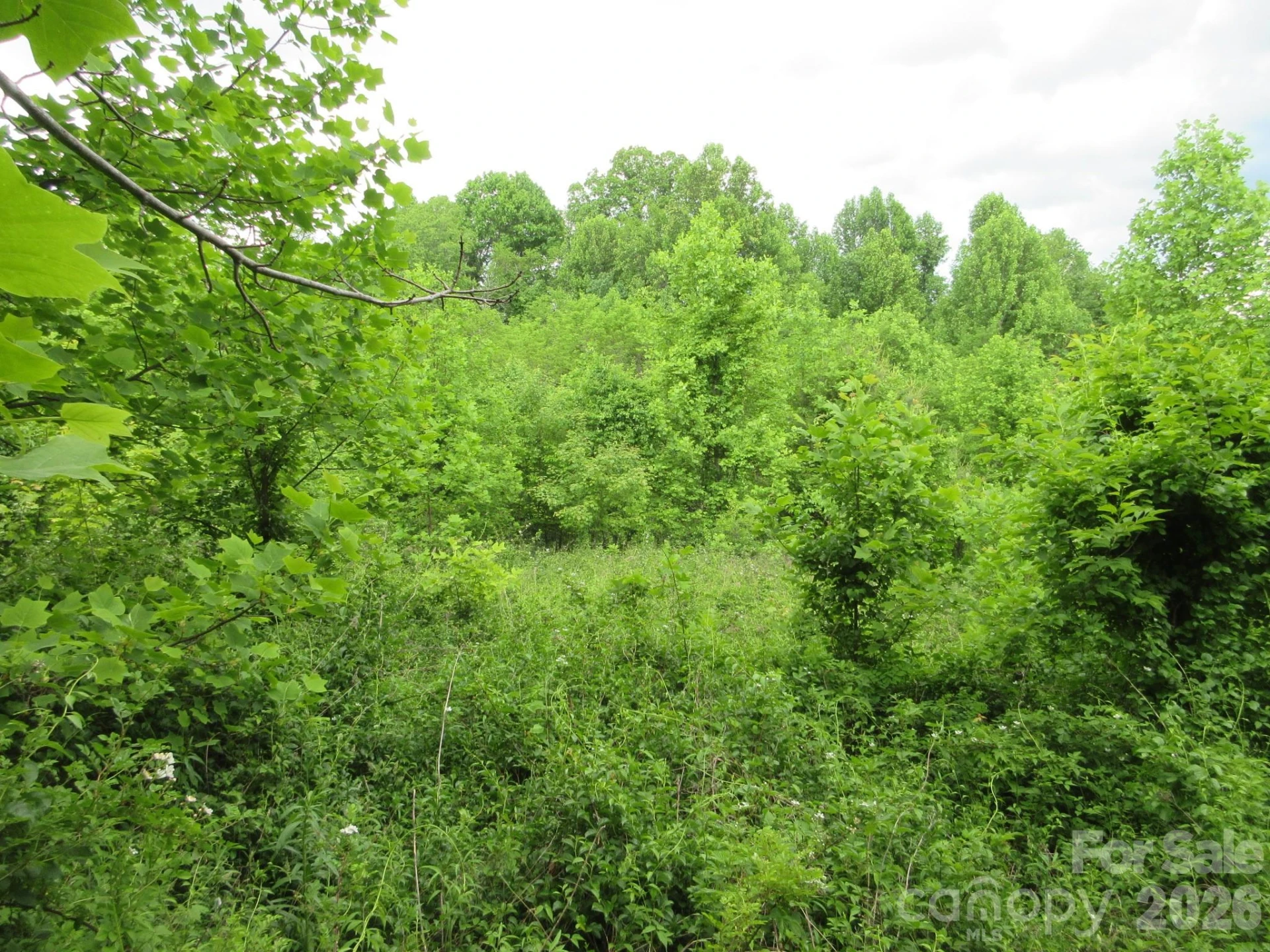 0 Rocky Top Trail #4 - Photo 8