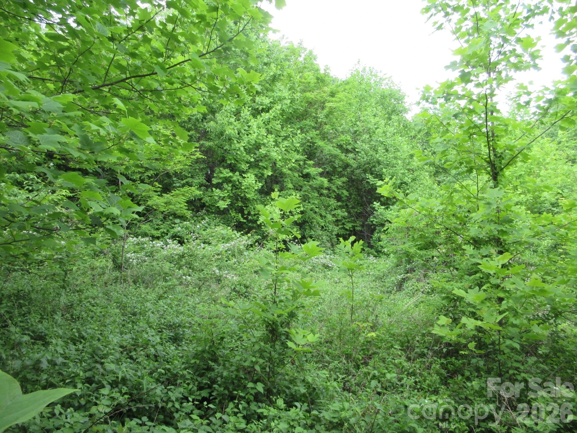 0 Rocky Top Trail #4 - Photo 9