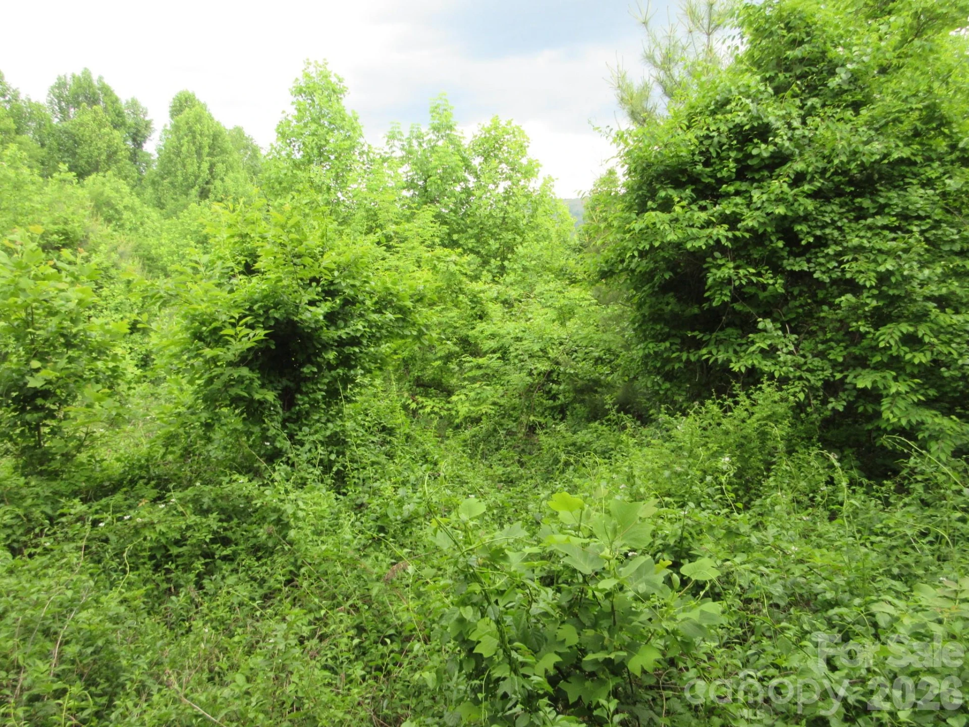0 Rocky Top Trail #4 - Photo 10