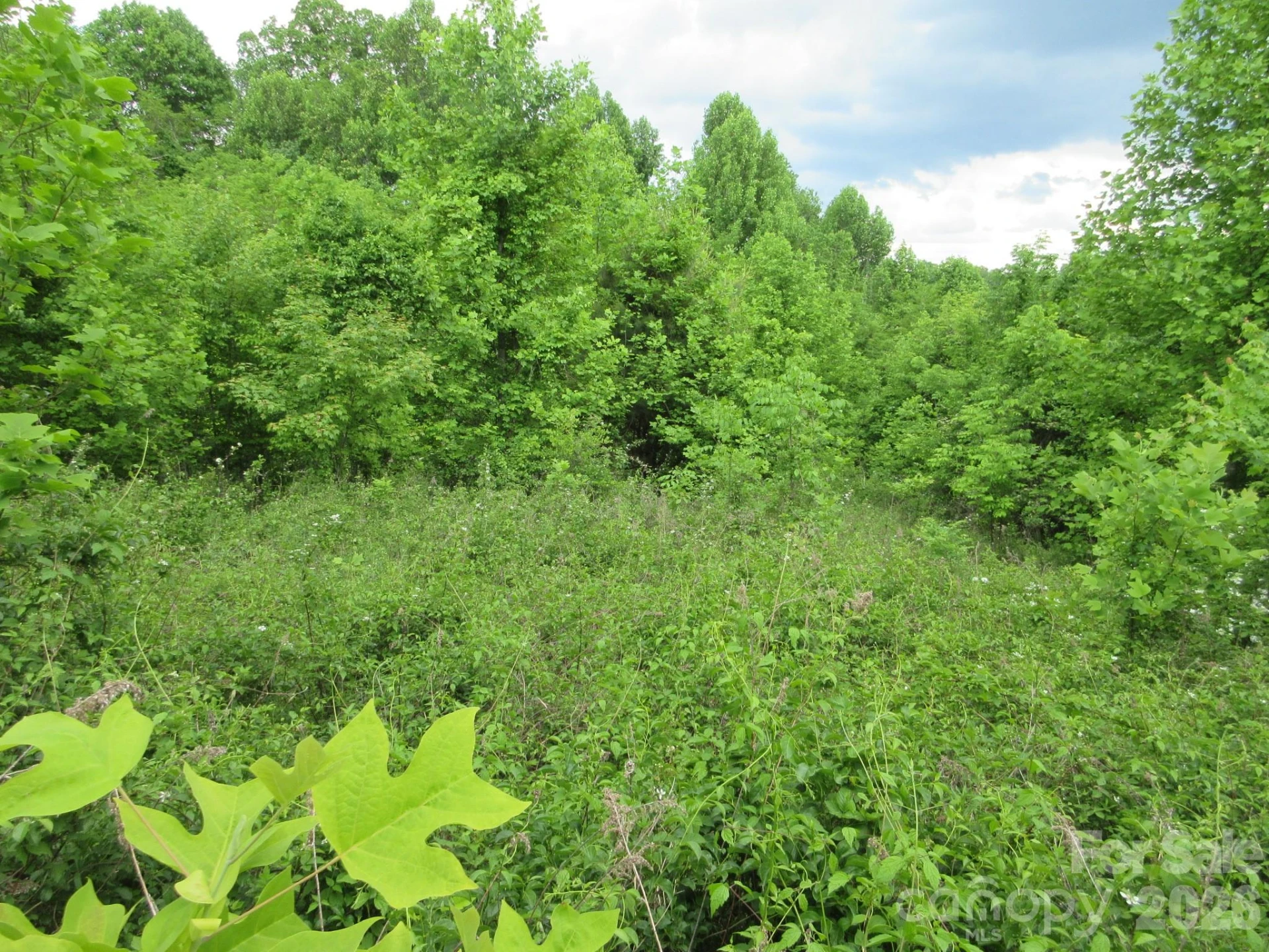 0 Rocky Top Trail #4 - Photo 11