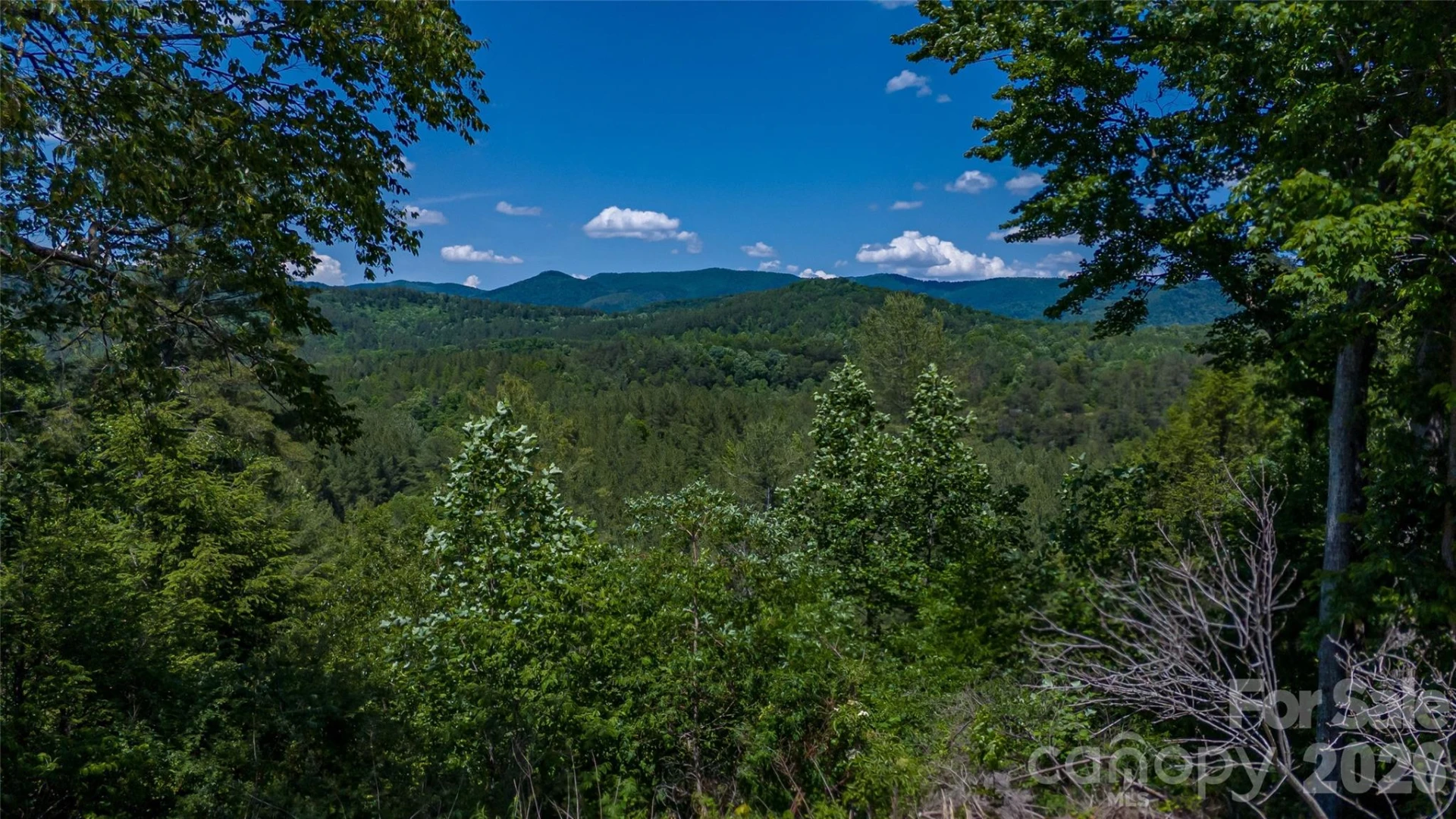 1542 Hwy 226 Highway - Photo 8