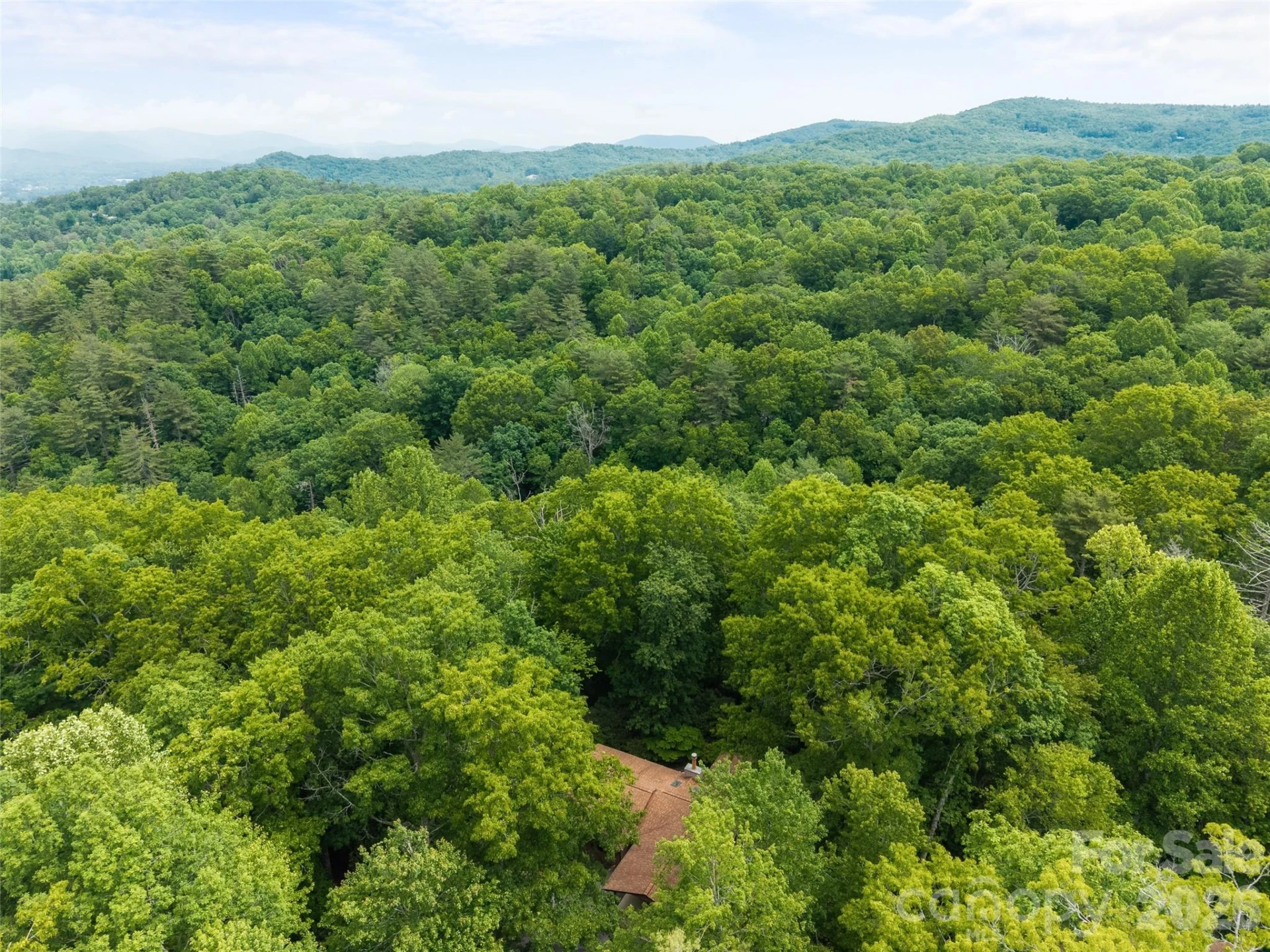 32 Honeysuckle Ridge Road - Photo 31