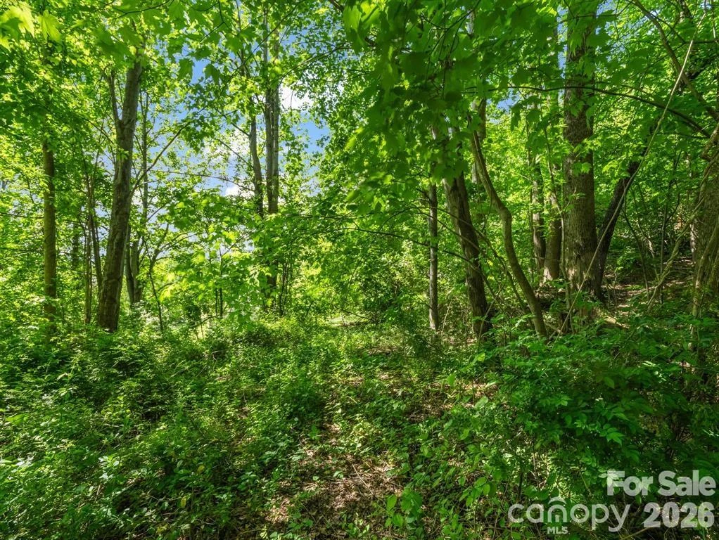 88 Hamilton Acres Drive - Photo 9
