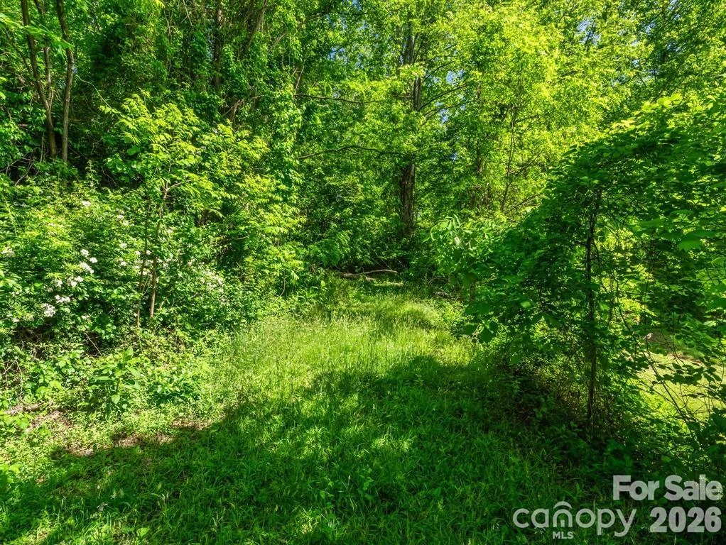 00 Hamilton Acres Drive - Photo 6