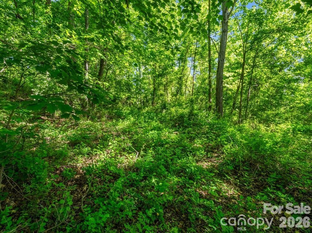 00 Hamilton Acres Drive - Photo 7