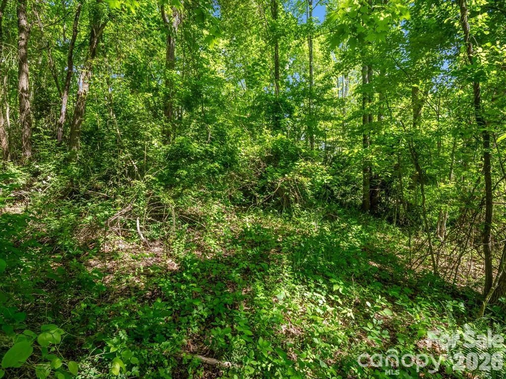 00 Hamilton Acres Drive - Photo 8