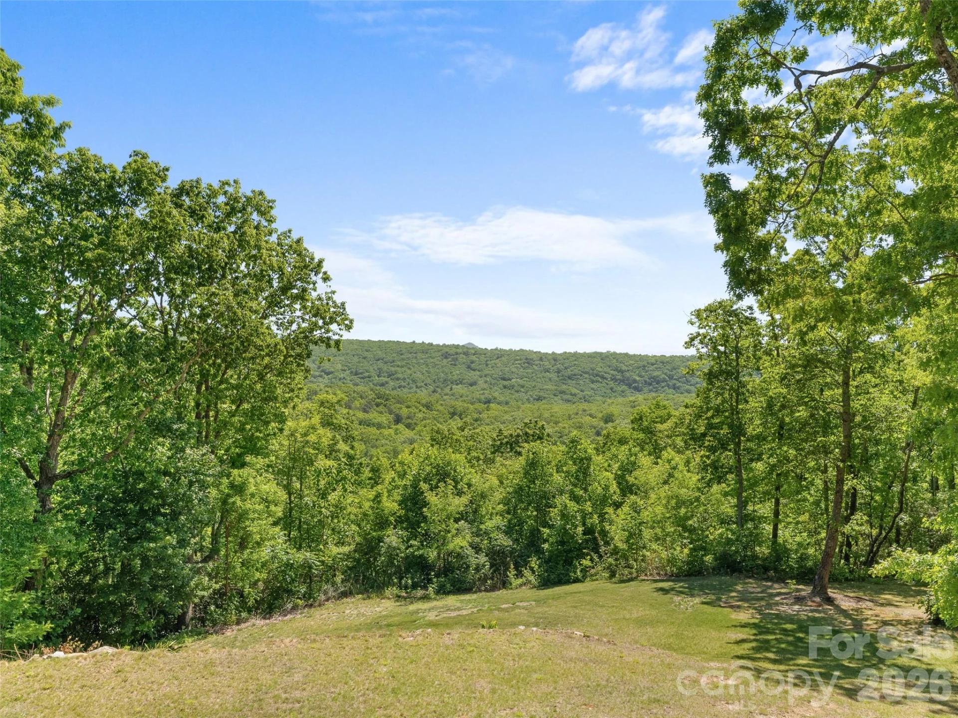 852 Marshall Ridge Road - Photo 18