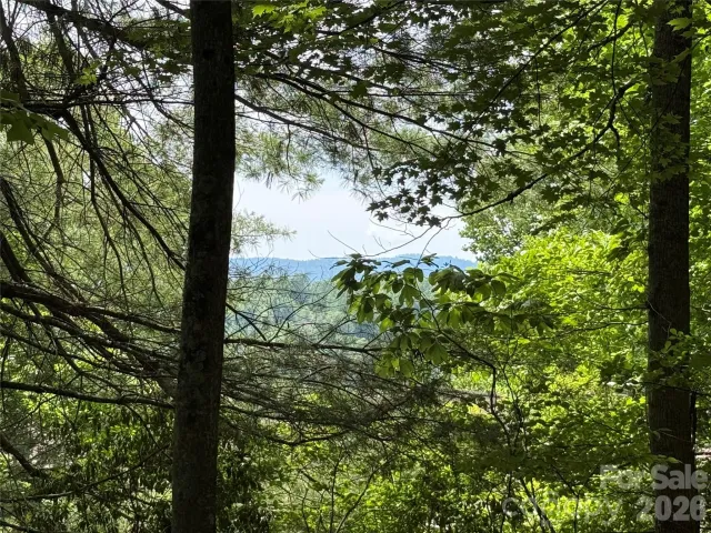 0000 Hardwood Summit Drive
