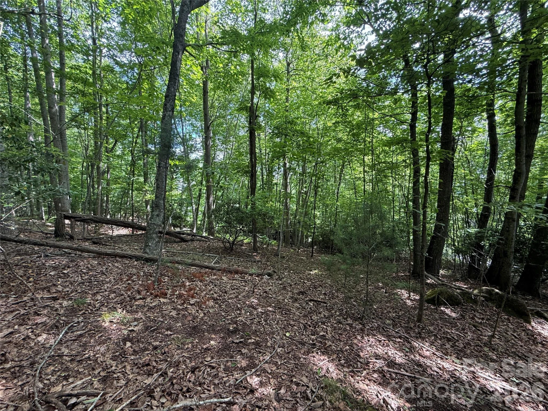 0000 Hardwood Summit Drive #191 - Photo 20