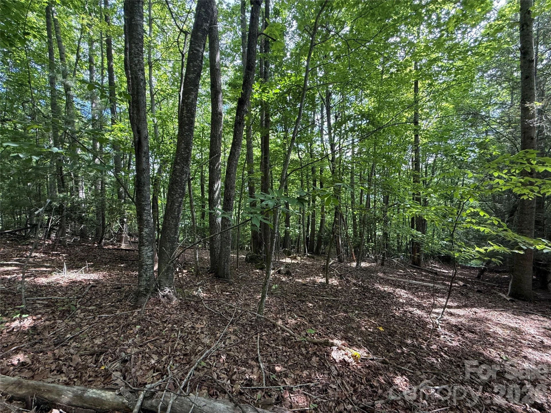 0000 Hardwood Summit Drive #191 - Photo 21