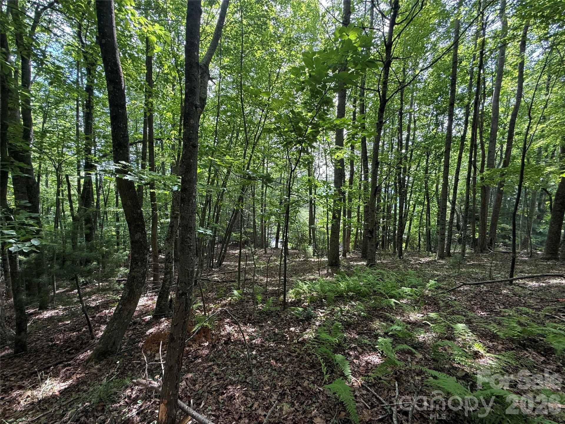 0000 Hardwood Summit Drive #191 - Photo 25