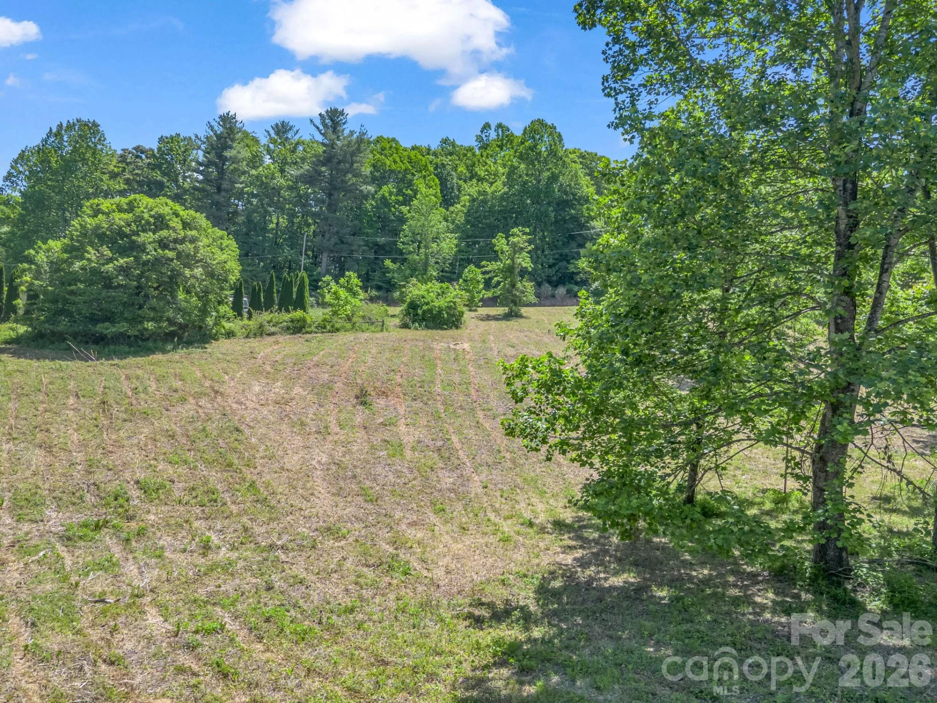 255 & 257 Crescent Street - Photo 43