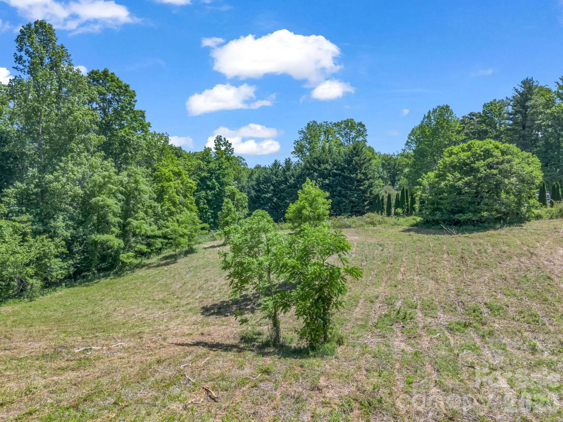 255 & 257 Crescent Street - Photo 44