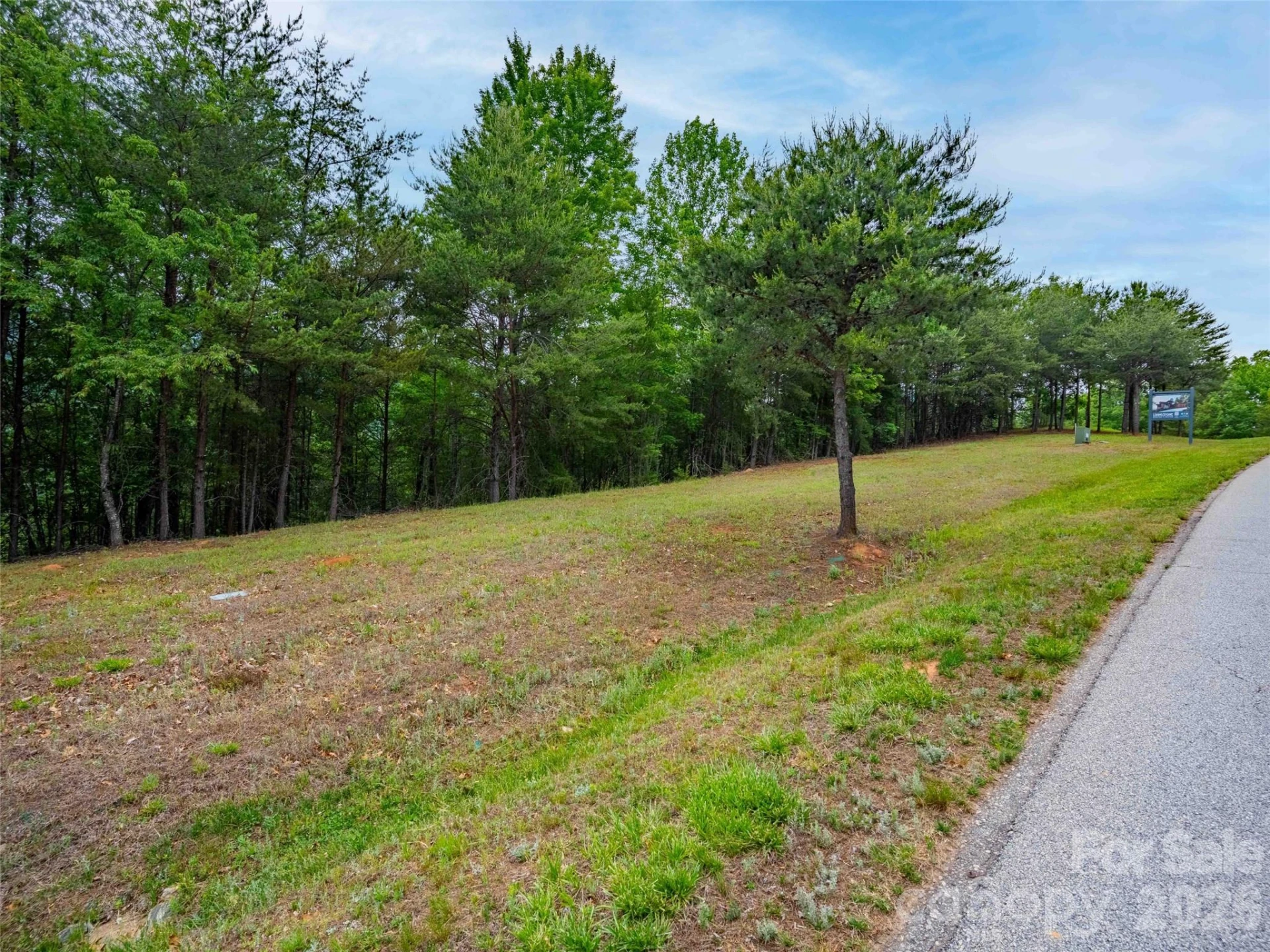 38 Deep Gap Farm Road E #38 - Photo 2
