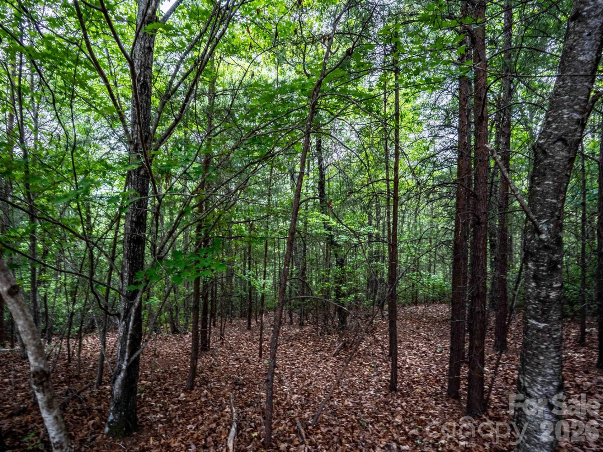 38 Deep Gap Farm Road E #38 - Photo 3