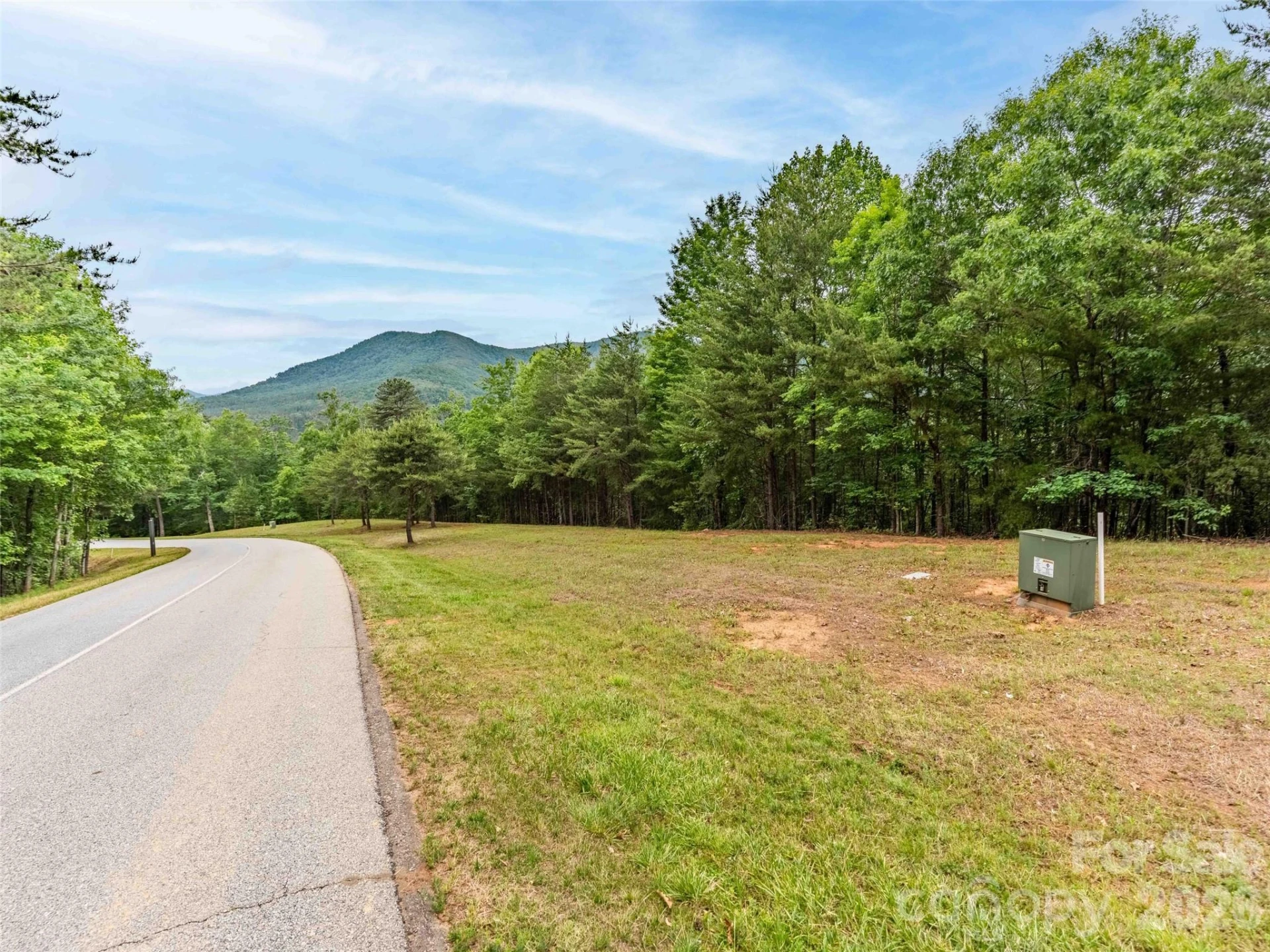 38 Deep Gap Farm Road E #38 - Photo 4